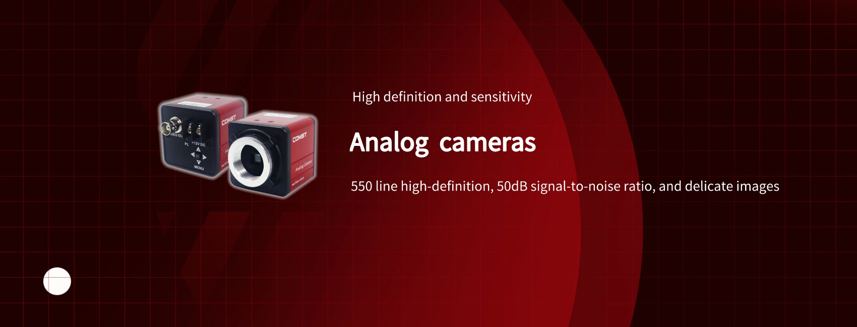 analog cameras banner